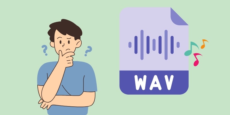 wav format