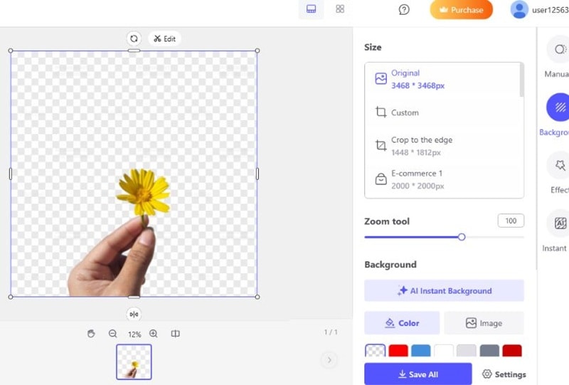 picwish interface