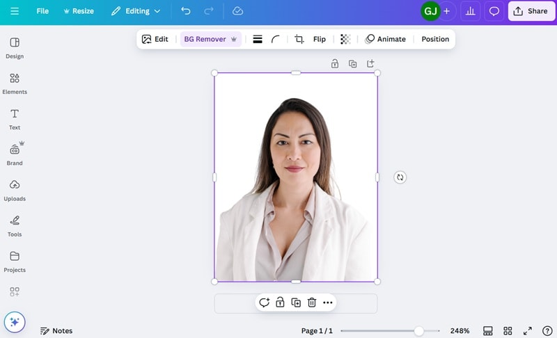 canva interface