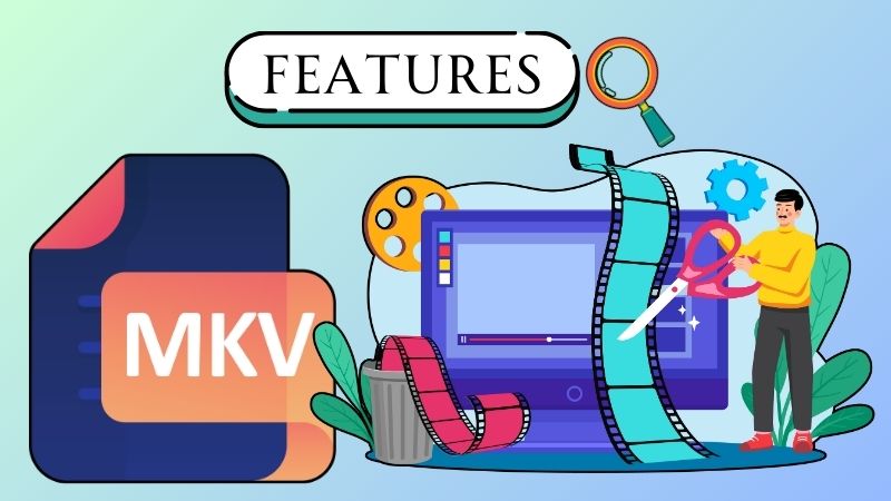features to find the best mkv editor
