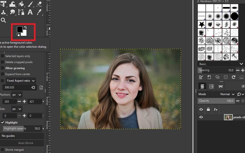 make background transparent in gimp foreground select tool