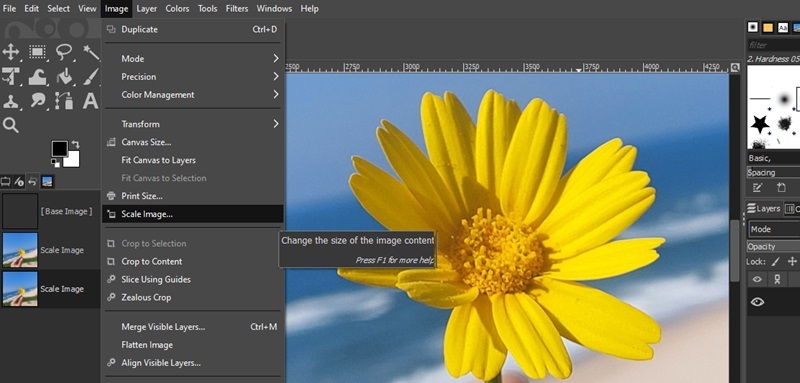 gimp interface