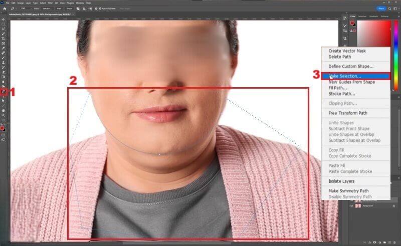 make selection path