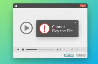 windows media player cannot play the file