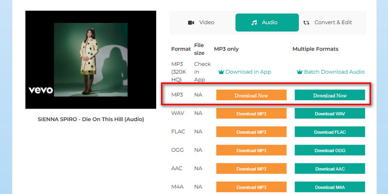 choose mp3 format