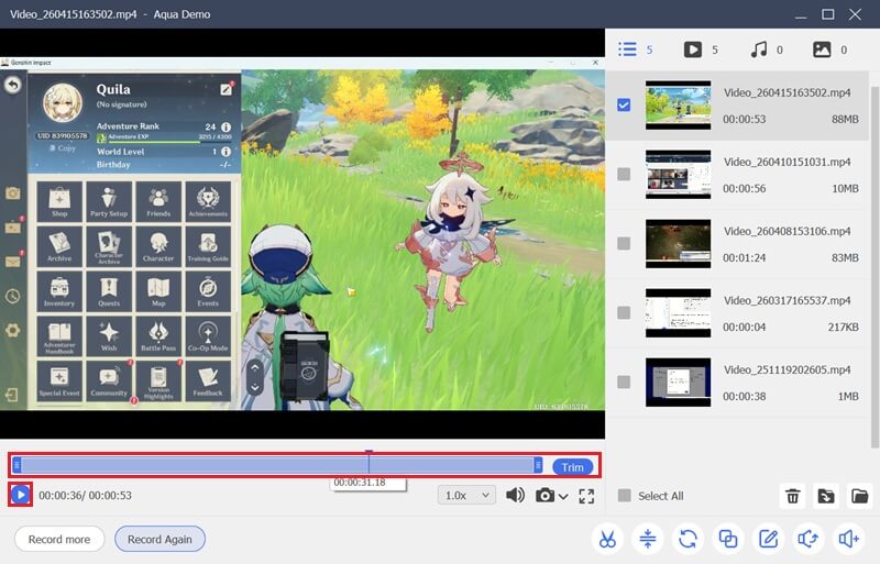 aqua demo preview window