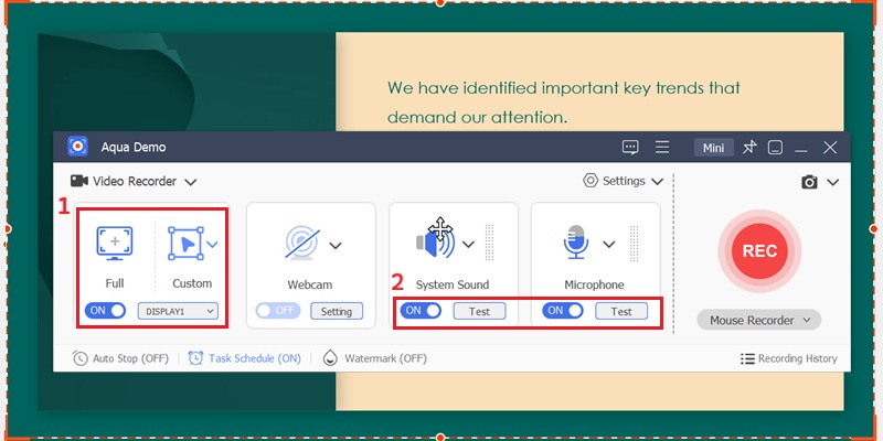 Configure Capture Input