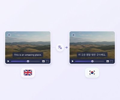 video subtitle translator